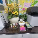 우아한공인중개사사무소 이미지