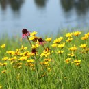 호숫가의 풍경 이미지