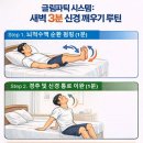 파킨슨병 관리전략 : 뇌세척 '글림파틱 시스켐과 새벽루틴 파킨슨병 관리 이미지