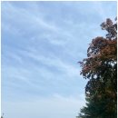 설해원 | 설해원 Salmon + SeaView 라운딩 후기 - 명불허전 한국 10대 골프장