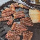 고우니.제주를담다