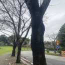 다시봄 의료기 이미지