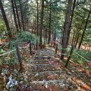 행복한충전소 이미지