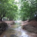 성현민박 이미지