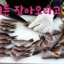 욕지사계절민박 이미지