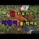 영관농장 이미지