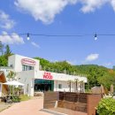 포항수영장 이미지