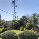 웨스티하우스 이미지