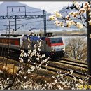 원동농장 이미지