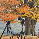 두물머리 가을 축제 이미지