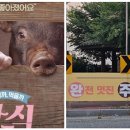 승리축산농장 이미지