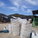 대가야센터-6 이미지