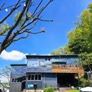 풍천뻘장어 이미지