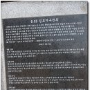 궁산축산 | 개화산 궁산(2020.1.12)엄동설한 한겨울에 한강변에서 봄에나 피는 큰개불알풀 꽃을~