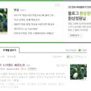 채원농장 이미지