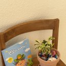 행복한 가족을 위한 그림책 힐링 원예 | 대구 경북 구미 겨울방학 키즈 원데이 클래스 그림책 명화 식물 수업