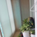 주영에이스빌4차 이미지