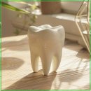 서울선치과의원 | 치아 세정 시 탄산칼슘 사용이 잇몸 건강에 미치는 영향