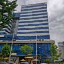 더블라썸플라워샵 | 평촌화분배달 꽃집 추천, 더블라썸 플라워샵에서 받은 반려식물 후기