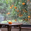 에드타임 이미지