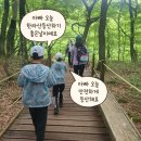 제주특별자치도체육회 | 🌸 [제주도 가족 등산] 아이들의 듬직한 뒷모습과 함께...제20회 전국 한라산 철쭉 등산대회 생생 후기!