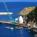 바람의 언덕 이미지