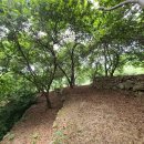 횡천면사무소 이미지