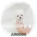 랄라독 이미지
