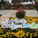 한솔주유소 이미지