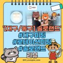 애니카랜드 동구 대구점 | 💌 [대구/동구] 카페 플라모(솔로랜드) 로테이션 미팅 체험 후기