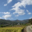 고향농장 이미지