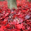 나비한의원 이미지