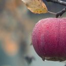 신선한목장 이미지