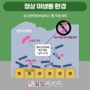 길상한의원 - 강화군 마니산로 53 | 길상한의원