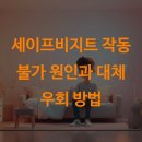 세이프비지트 작동 불가 원인과 대체 우회 방법