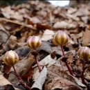 새미목욕탕 이미지