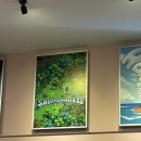 분당-서현-102 이미지