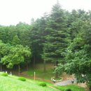 법기수원지 이미지