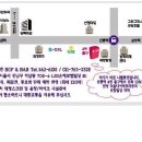 따라부어 Daum카페