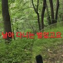 나눔약초 Daum카페