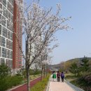 은여울공원 이미지