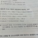 Citrate 회로 이미지