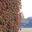 제물포여자중학교 이미지