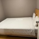 지정초등학교 | [25.6.28~6.29] 푸릇푸릇한 6월 힐링하러 다녀온 원주여행 1박2일의 기록