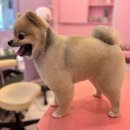 산두로 네이버블로그