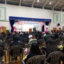 영천인터넷뉴스