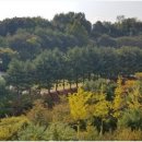 갤럭시공인중개사사무소 이미지