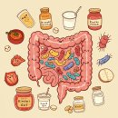 발효식품 | 발효식품 30일 챌린지 솔직 후기: 장 건강과 면역력이 이렇게 달라졌어요!