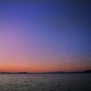 자연오리 이미지