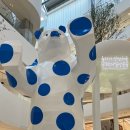 현대야채 이미지